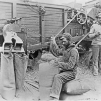 Farm, Sack Sewing