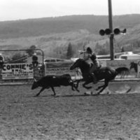 1979 Rodeo, Roping Pairs 07