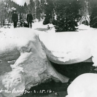 Cornucopia, Winter 3