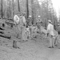 1987 Field Trip, Forest 09