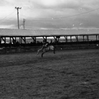1982 EOSC Rodeo, Bronco Riding 07
