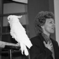 1985 Ackerman Elementary School, Safari 19