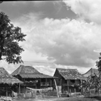 Binmaley, Local Homes 1