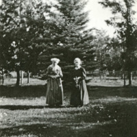 Union Home Yard, Gales