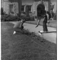 1989 Employees, Planting 25