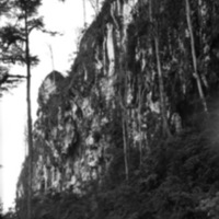 Biak Coral Cliffs 2