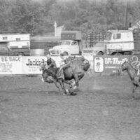 1978 Rodeo, Bronco Riding 05