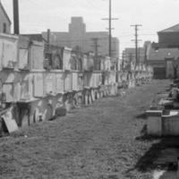 New Orleans Cemetery 2