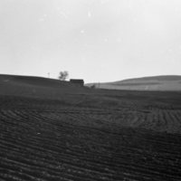 1980 Agriculture, Furrowed Field 02
