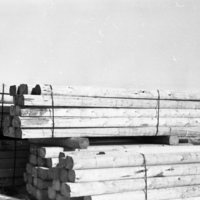 1980 Log Plant 21