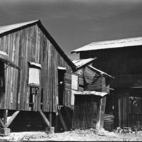 Mindoro, Sugar Plantation 5