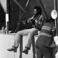 1977 Festival, Music Outdoors