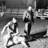 1976 Rodeo, Calf Roping 04
