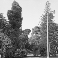 California, Coit Tower Area