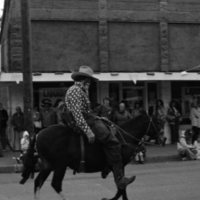 1981 Eastern Oregon Livestock Parade, Horses &amp; Riders 08