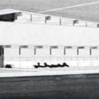 50's Drawing, Quinn Coliseum 1