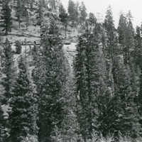 Sumpter, Train