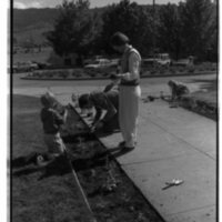1989 Employees, Planting 01