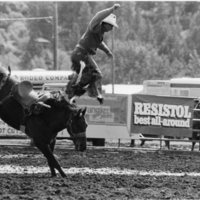80's Rodeo, Bronco Riding 3-7