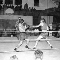 1949-50 Boxing 4-4