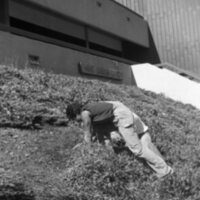 1984 Employees, Groundskeepers 08