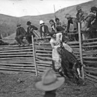 Union Stock Show, 1914 1
