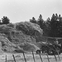 Elgin, Hay Stacking 2