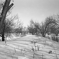 La Grande Home, Hill 5