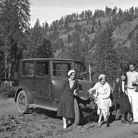 Reuter Group-DD, Automobile