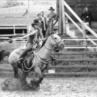 1991 Eastern Rodeo, Roping 06
