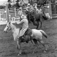 1986 Springfest, Rodeo Bronco Riding 09