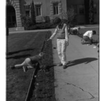 1989 Employees, Planting 17