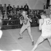 1949-50 Boxing 7