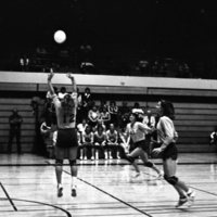 1981 Volleyball Action 23