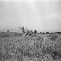 Farm, Binder Operation 1