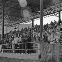 1985 Homecoming Football Fans 02