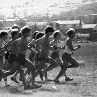 1980 Cross Country Start Line 08