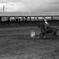 1982 EOSC Rodeo, Women's Barrel Racing 02