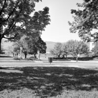 1978 Campus in Spring 06