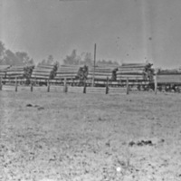 Logging Train 1