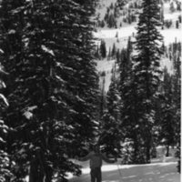 80's Skier, Cross Country