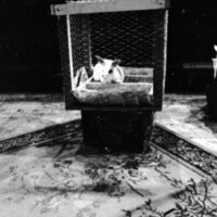 1974 Theatre, Rabbit 08