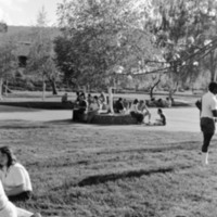 1981 Dorm Play Day &amp; Steak Fry, Barbecue 04