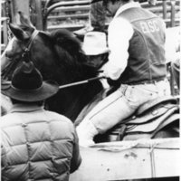 1986 Springfest, Rodeo Cowboys 01