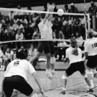 1991 Volleyball Action, Lewis &amp; Clark at EOSC 14