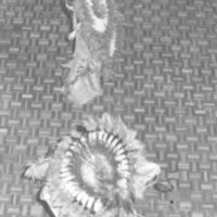 2012.2.xx280.022.jpg