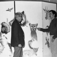 1978 Art, Rick Gibson's Wildlife Panels 05