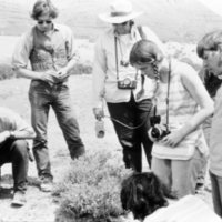 1972 Field Trip, Desert
