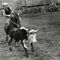 1984 Rodeo Club, Roping Pairs 01