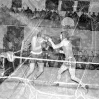 1949-50 Boxing 5-2